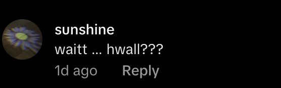 Screenshot 2025-07-06 at 10.10.59 PM